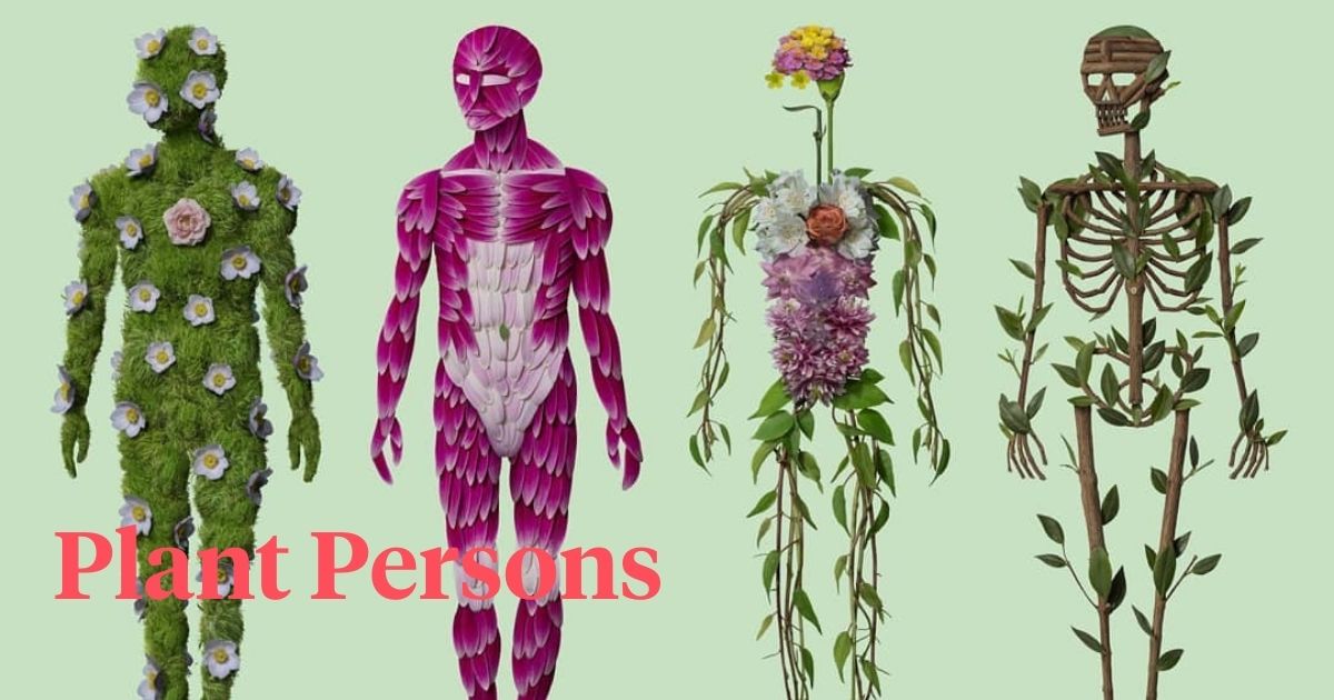 Let’s Explore the Anatomy of A Plant Person Article onThursd