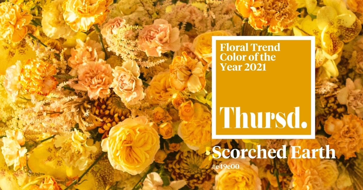 debute-of-the-floral-trend-color-2021-scorched-earth-header