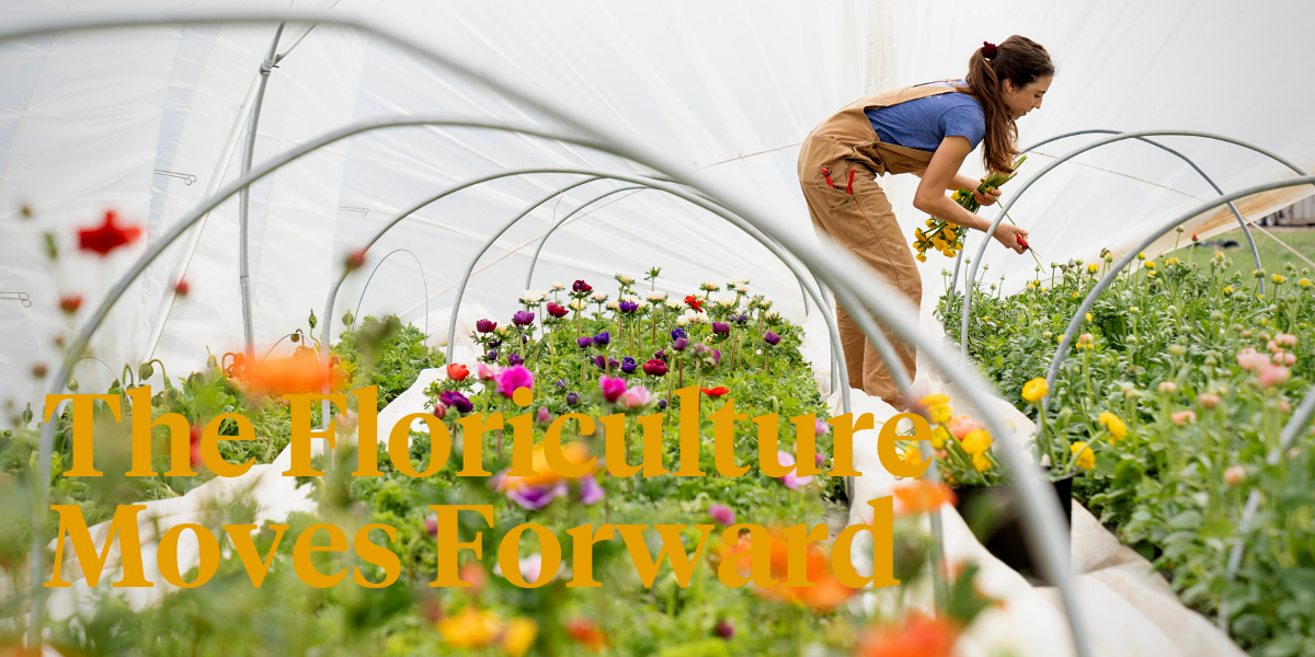 sustainable-initiatives-in-floriculture-header