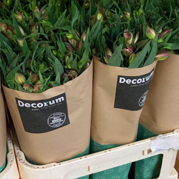 Together2Grow is Proud To Be a Decorum Grower