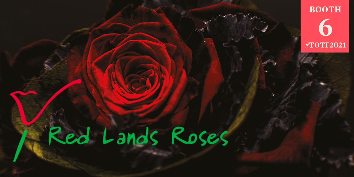 red-lands-roses-8-ways-to-the-highest-quality-header