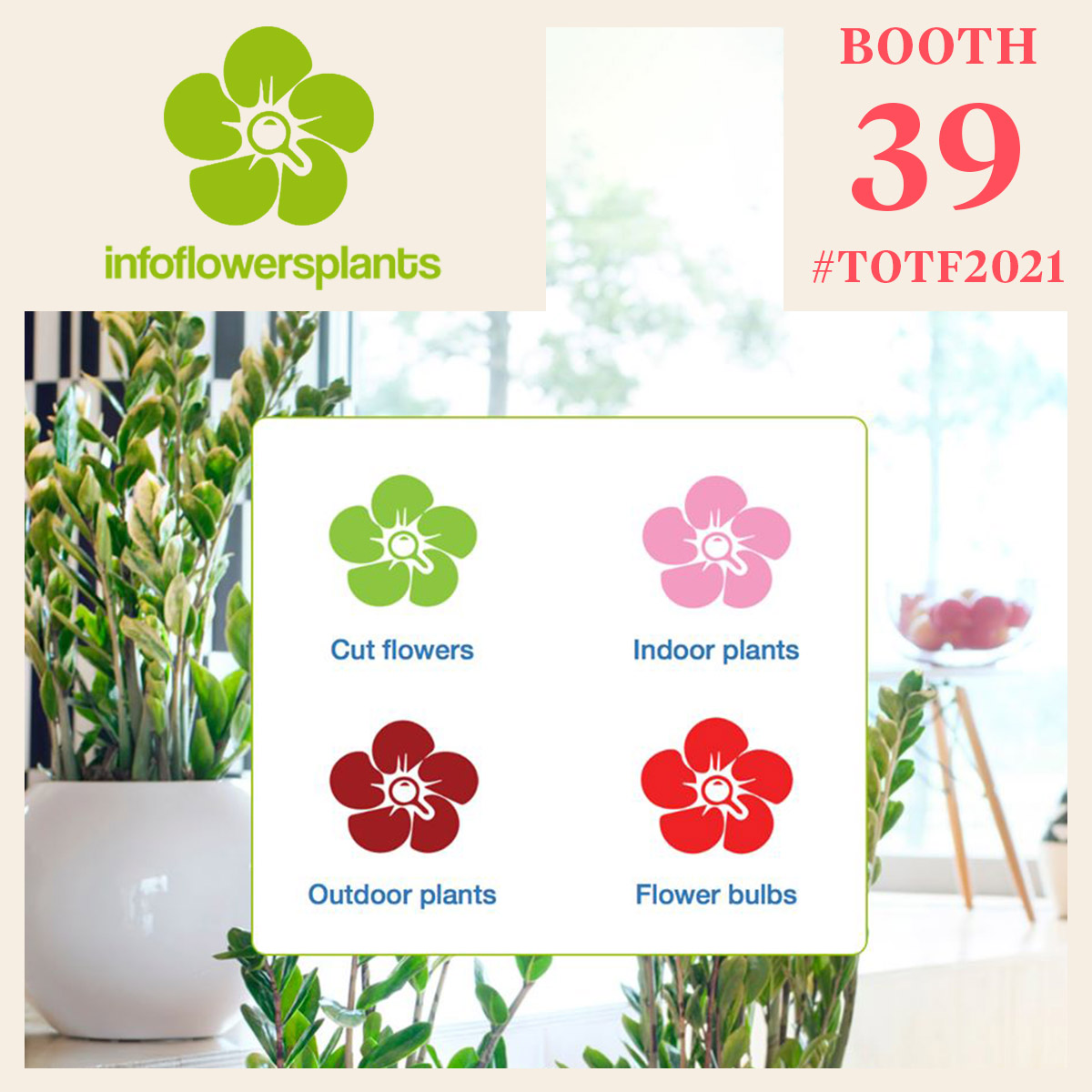 infoflowersplants-online-product-encyclopedia-featured