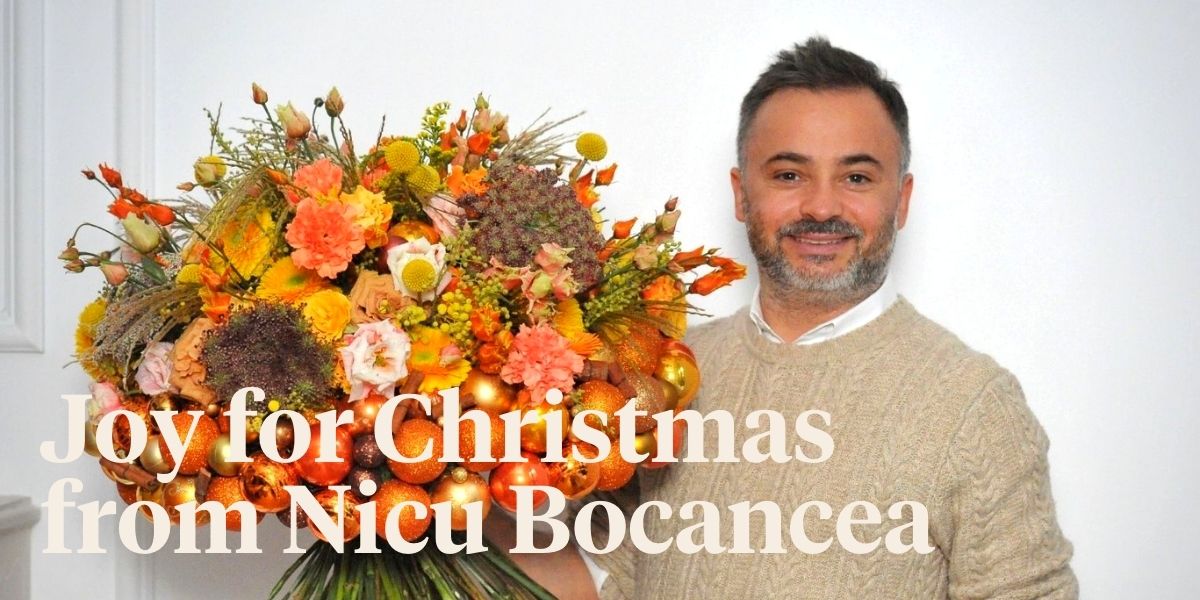 nicu-bocanceas-sunny-colors-for-christmas-joy-header