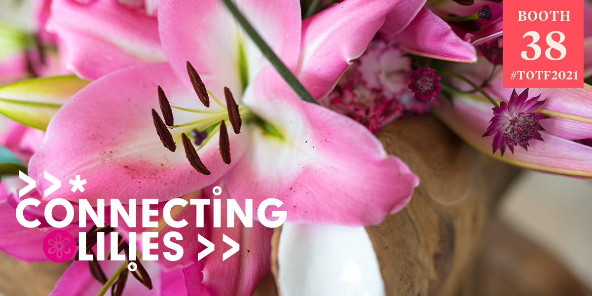 connecting-lilies-serves-the-market-with-top-quality-header