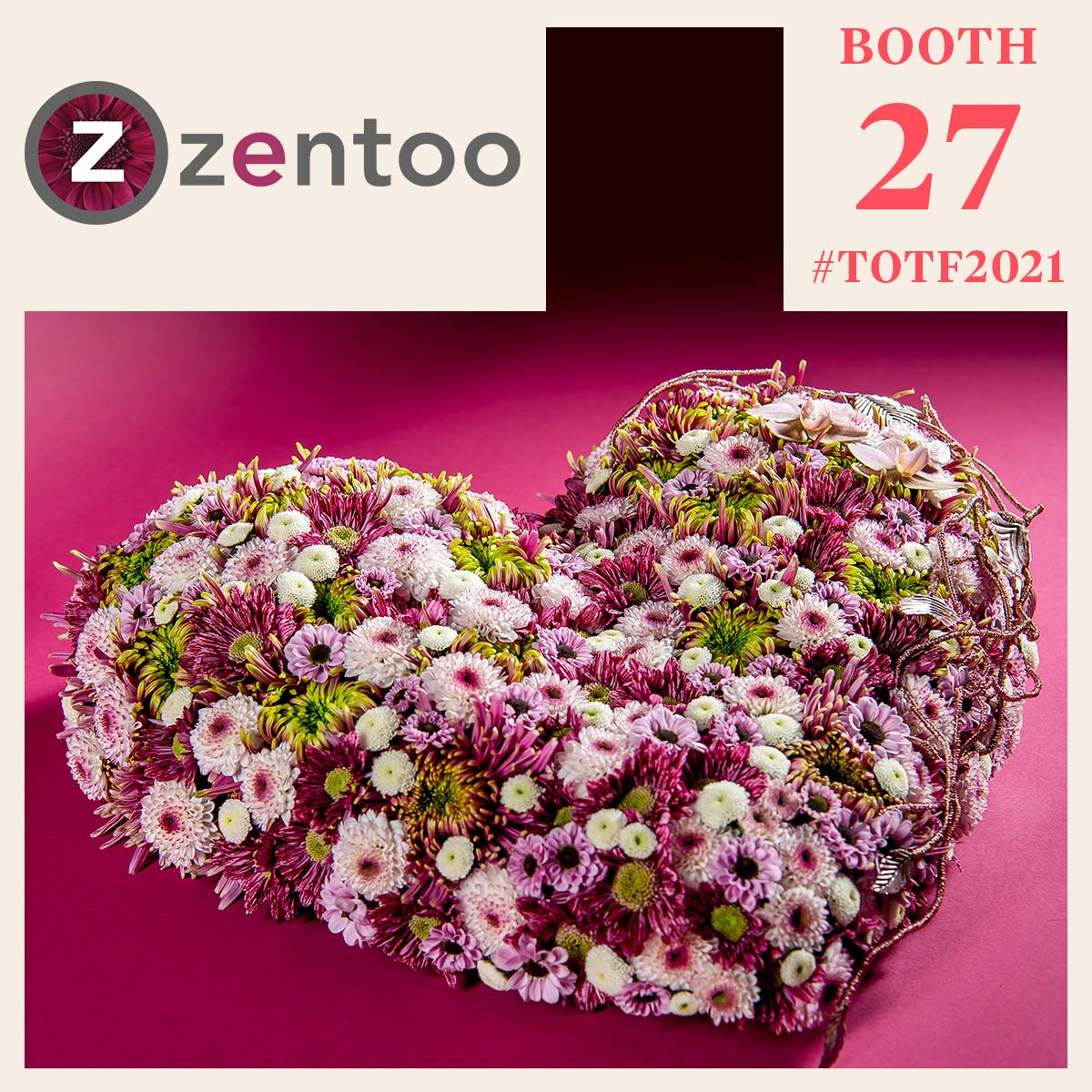 zentoo-a-heart-full-of-passion-for-innovative-chrysants-2-featured