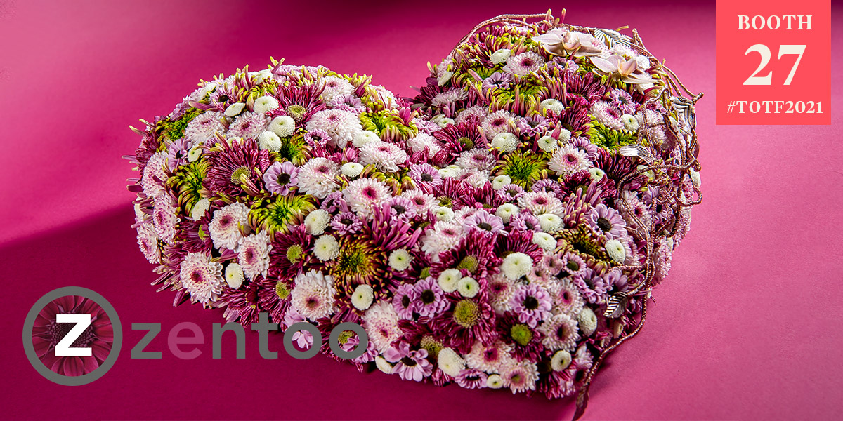 zentoo-a-heart-full-of-passion-for-innovative-chrysants-2-header