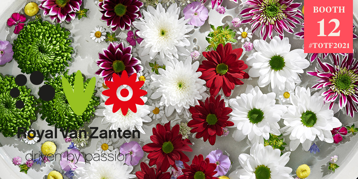 royal-van-zantens-flowers-and-plant-tips-for-2021-header