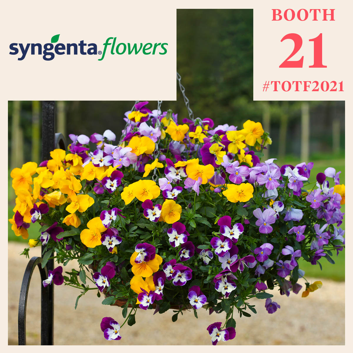 welcome-to-syngentas-celebration-featured