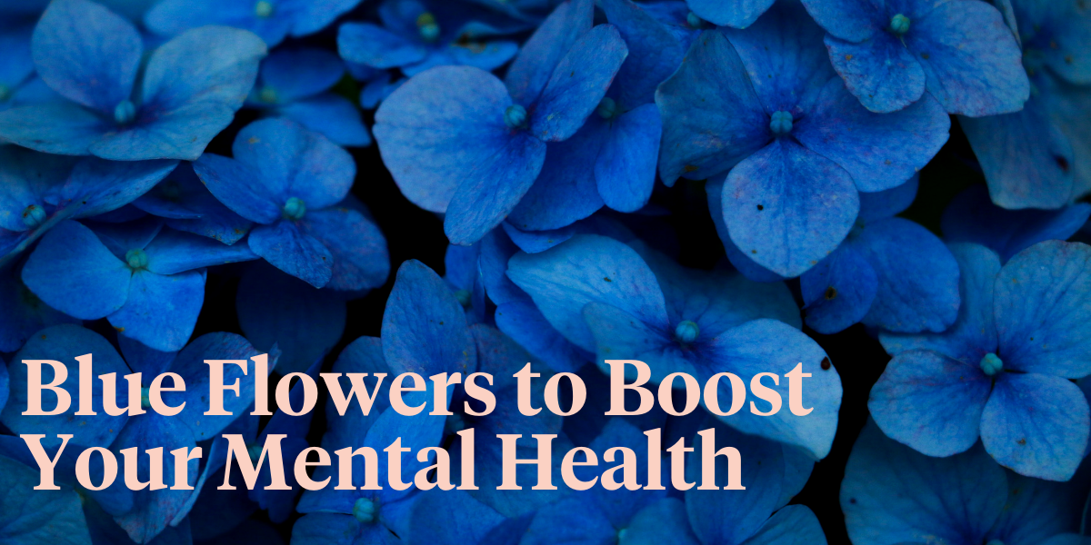 20-beautiful-blue-bouquets-header
