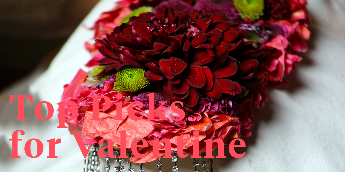 red-chrysants-for-valentine-of-course-header
