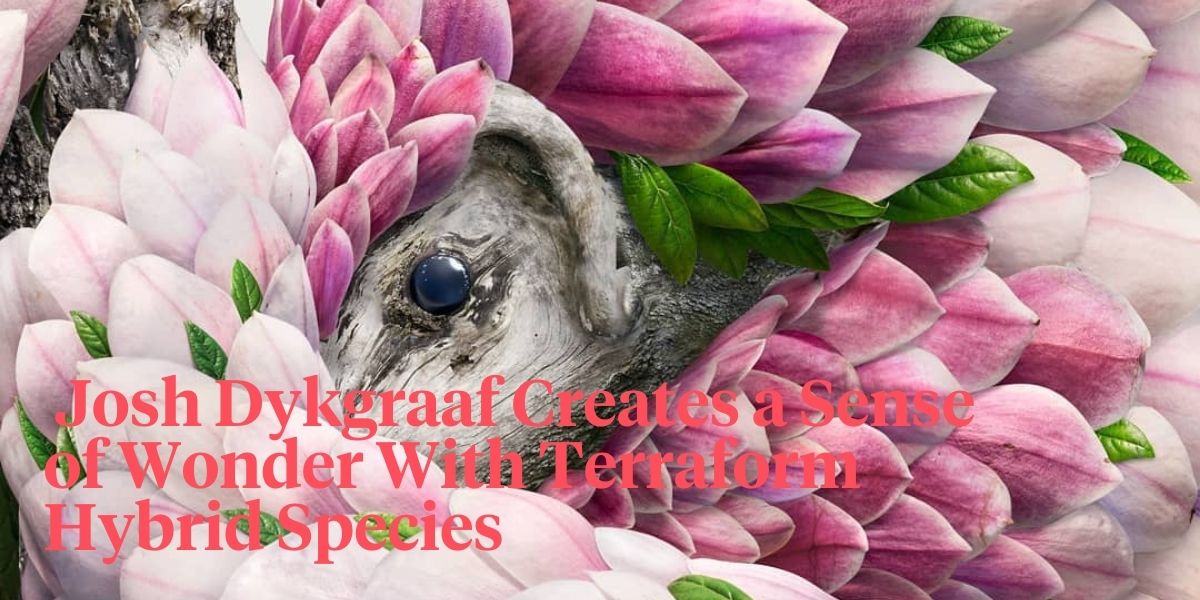 Josh Dykgraaf designs hybrid animal species from images of flower petals and leaves