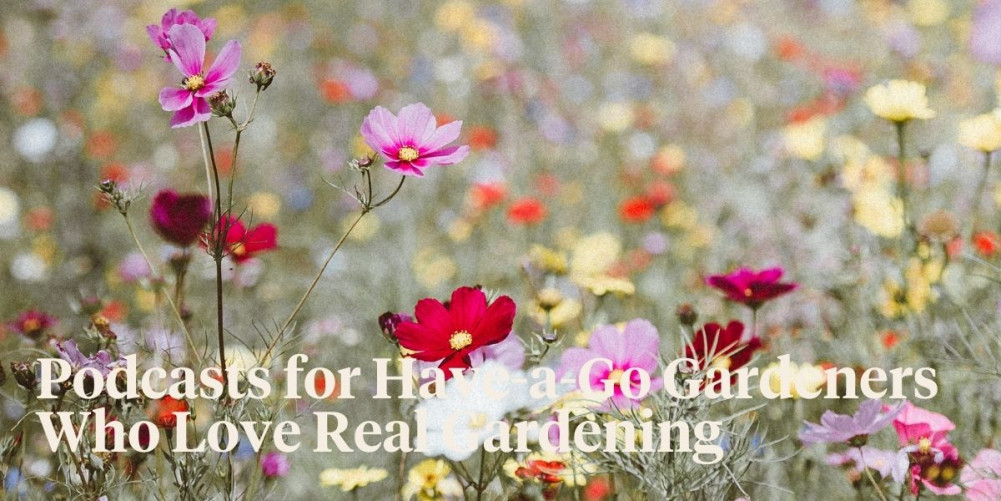 The Top 12 Gardening Podcasts Article onThursd