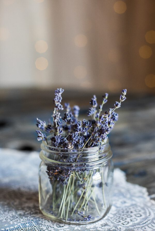 How Adding Plants To Your Bedroom Benefits Sleep - lavender on thursd