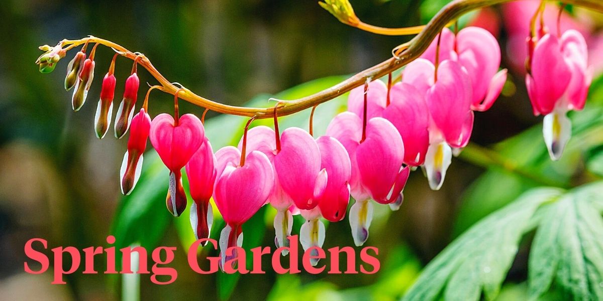 5-ways-to-add-quick-color-to-spring-gardens-header