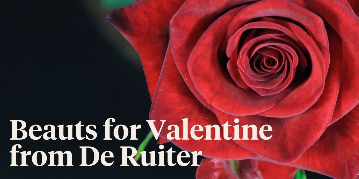 what-is-de-ruiters-choice-for-valentine-2021-header