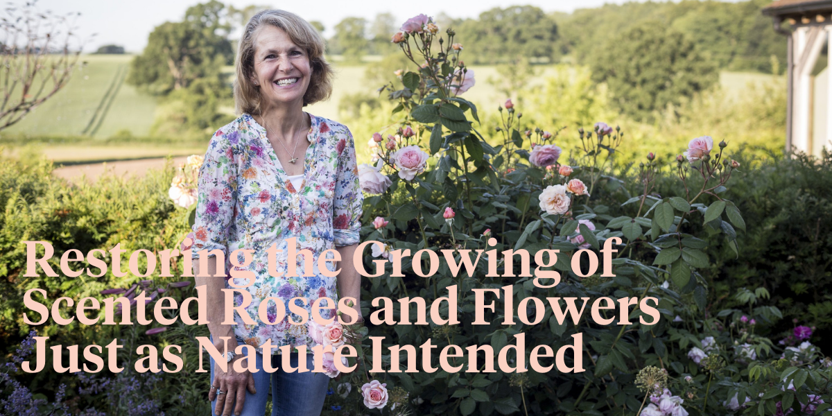 rosebie-morton-and-her-blooming-business-header