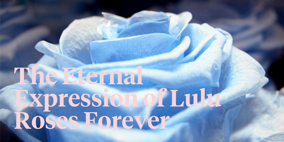 facts-you-didnt-know-about-lulu-preserved-roses-header