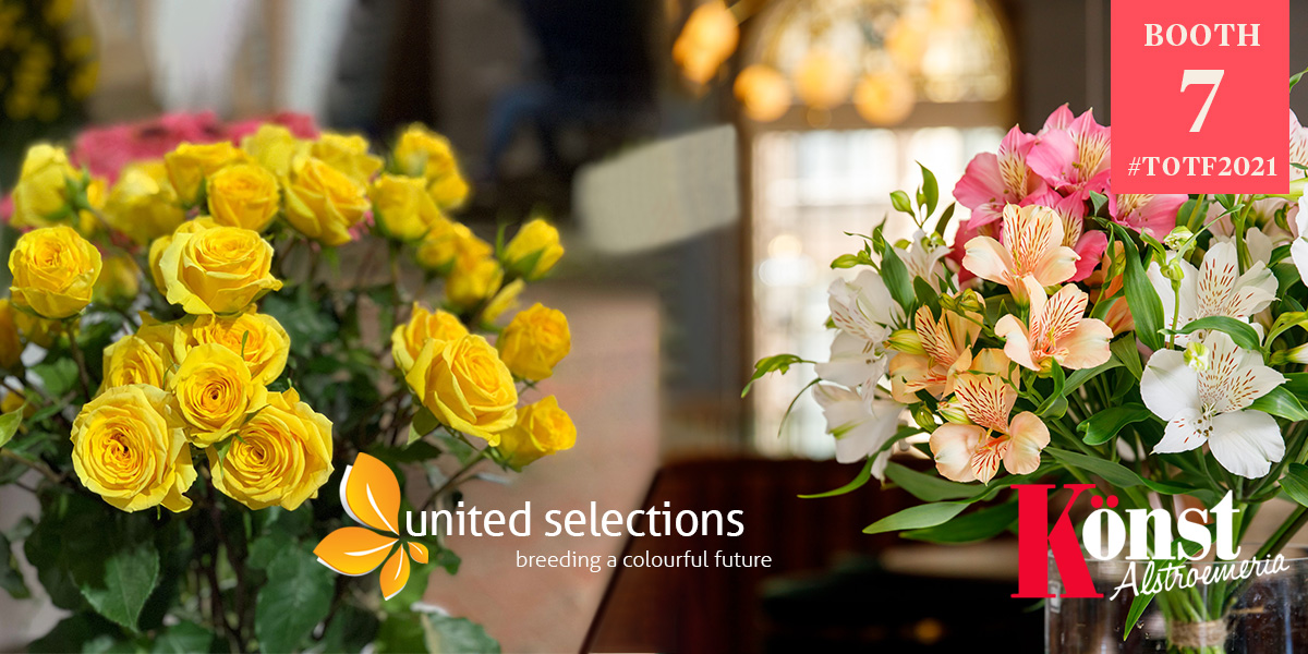 totf2021fe-united-selections-and-konst-alstroemeria-present-their-new-colors-header