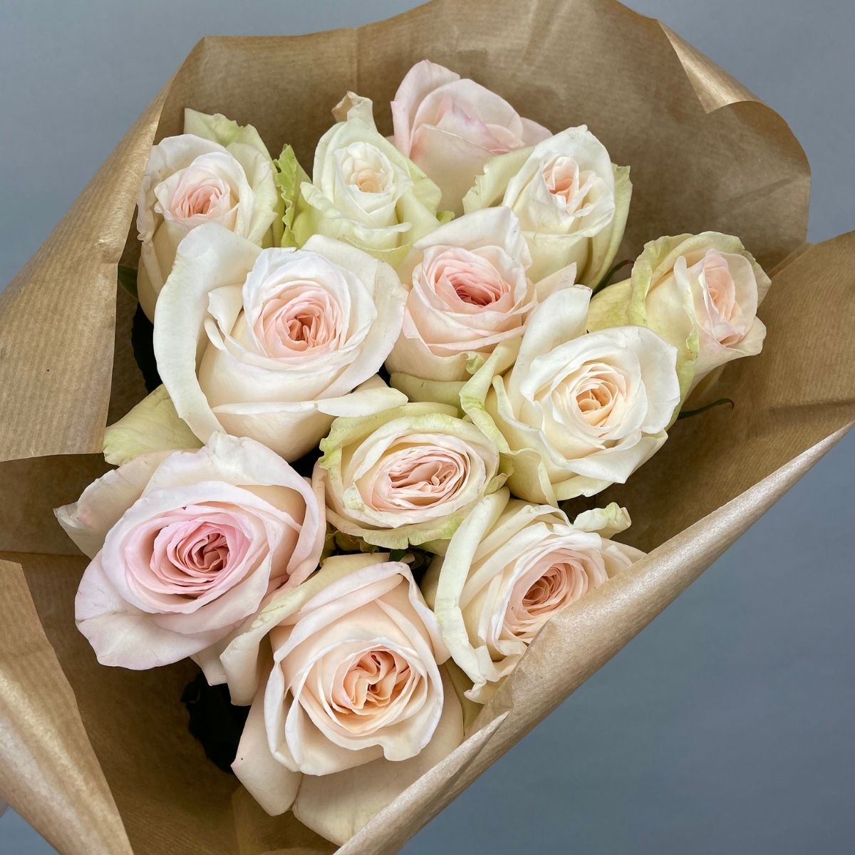 white-ohara-roses-of-delbard-are-amazing-featured