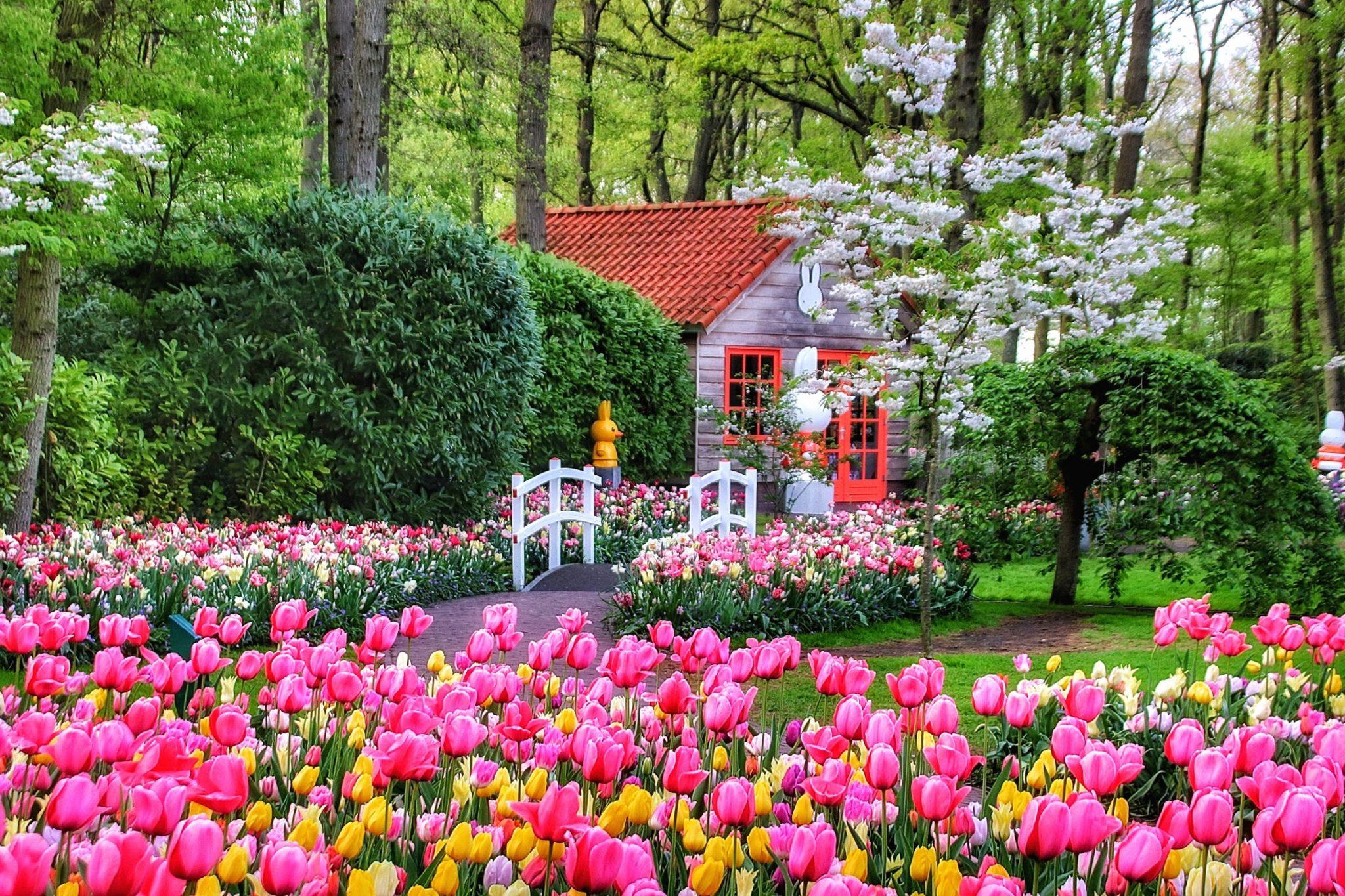 keukenhof-in-test-mode-for-the-weekend-featured