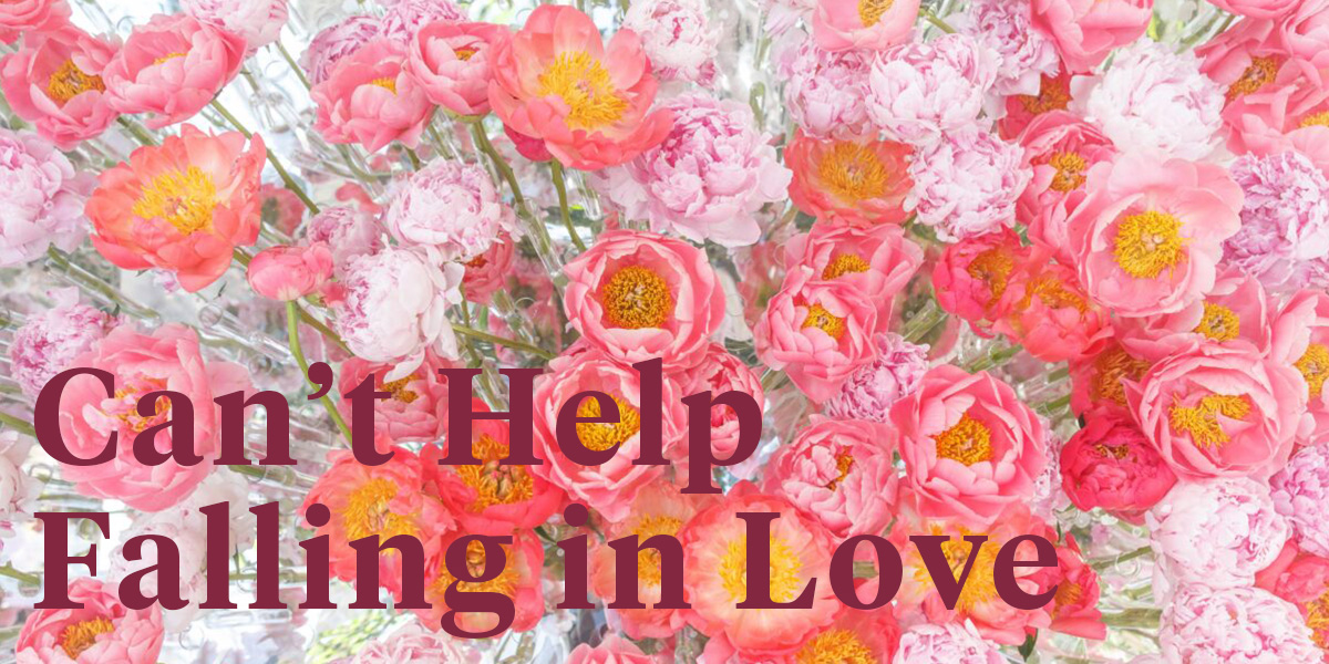 say-yes-to-the-peonies-header