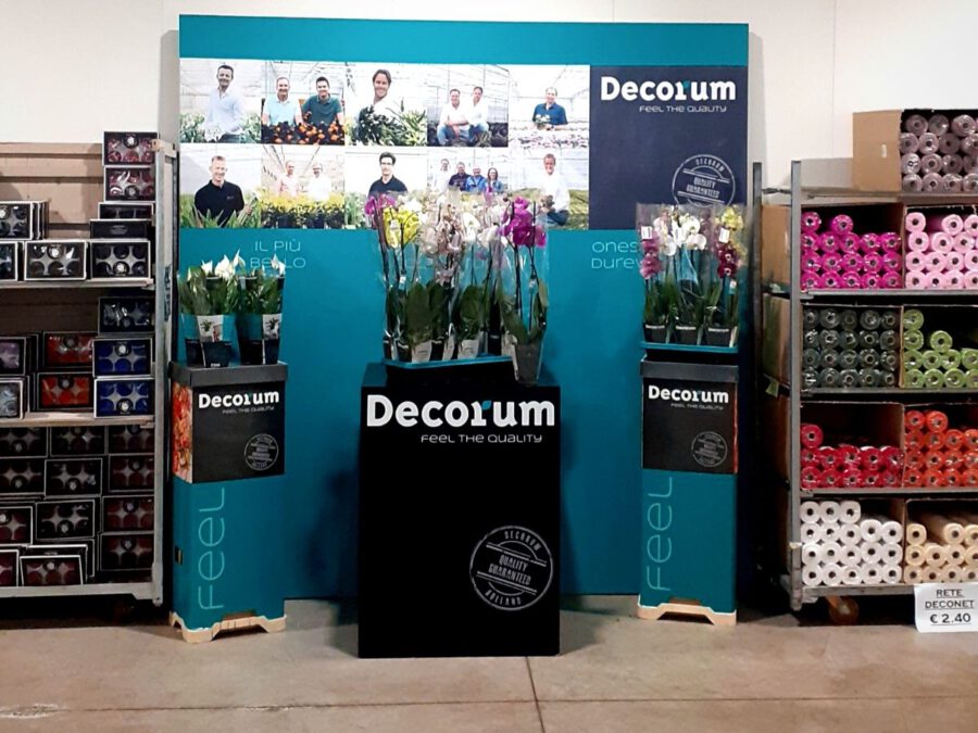 Decorum - on Thursd. display in C&C