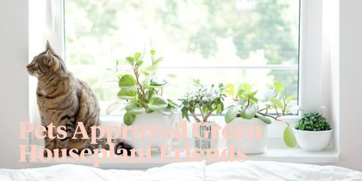 pet-friendly-houseplants-safe-for-cats-and-dogs-header