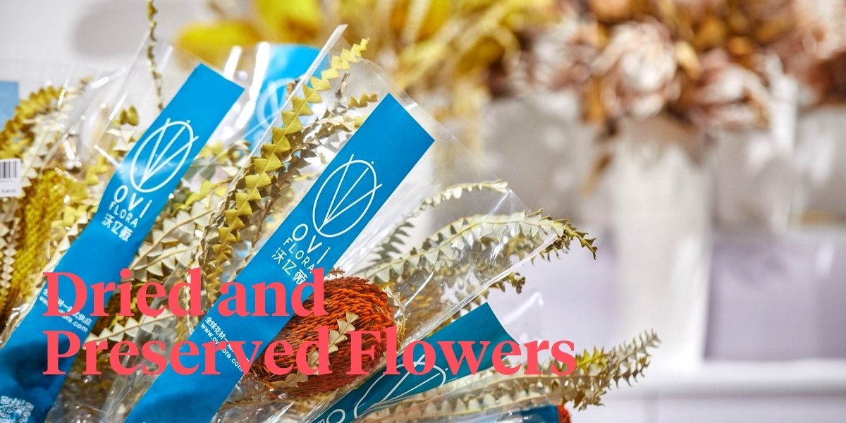 oviflora-has-a-huge-demand-for-preserved-and-dried-flowers-in-china-header