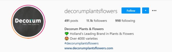 Instagram account Decorum - on thursd