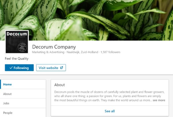 Linkedin account Decorum - on thursd