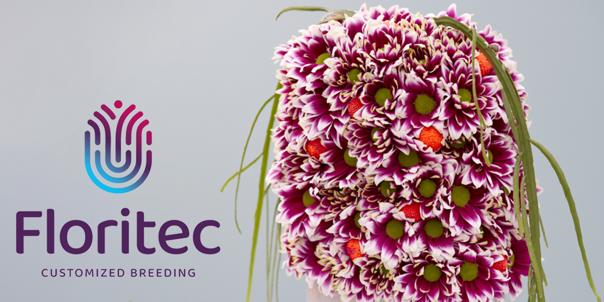 new-logo-and-looks-for-floritec-header