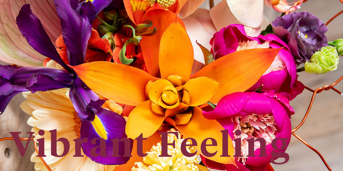 these-are-decorums-most-bright-and-colorful-flowers-header