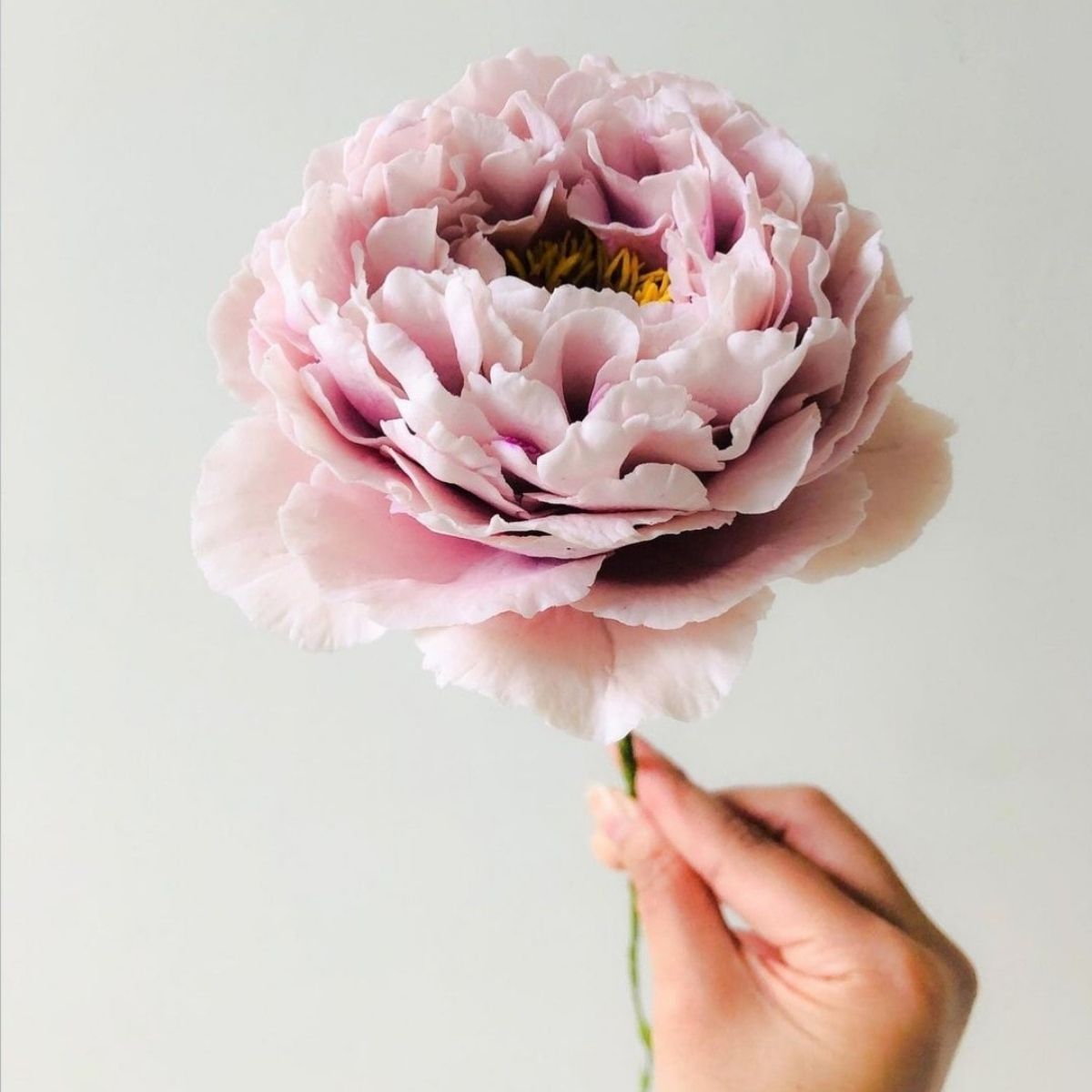 sugar flower.ページ Ultra Realistic Sugar Flowers by Michelle Nguyen