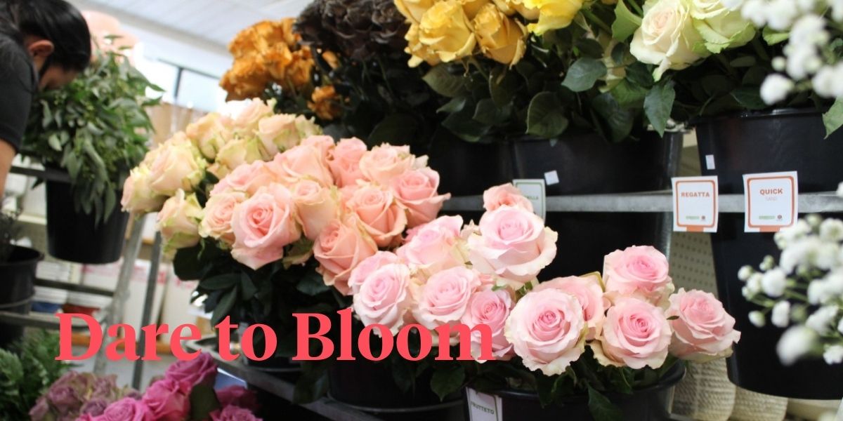 naranjo-roses-highlight-fof-floral-art-competition-miami-header