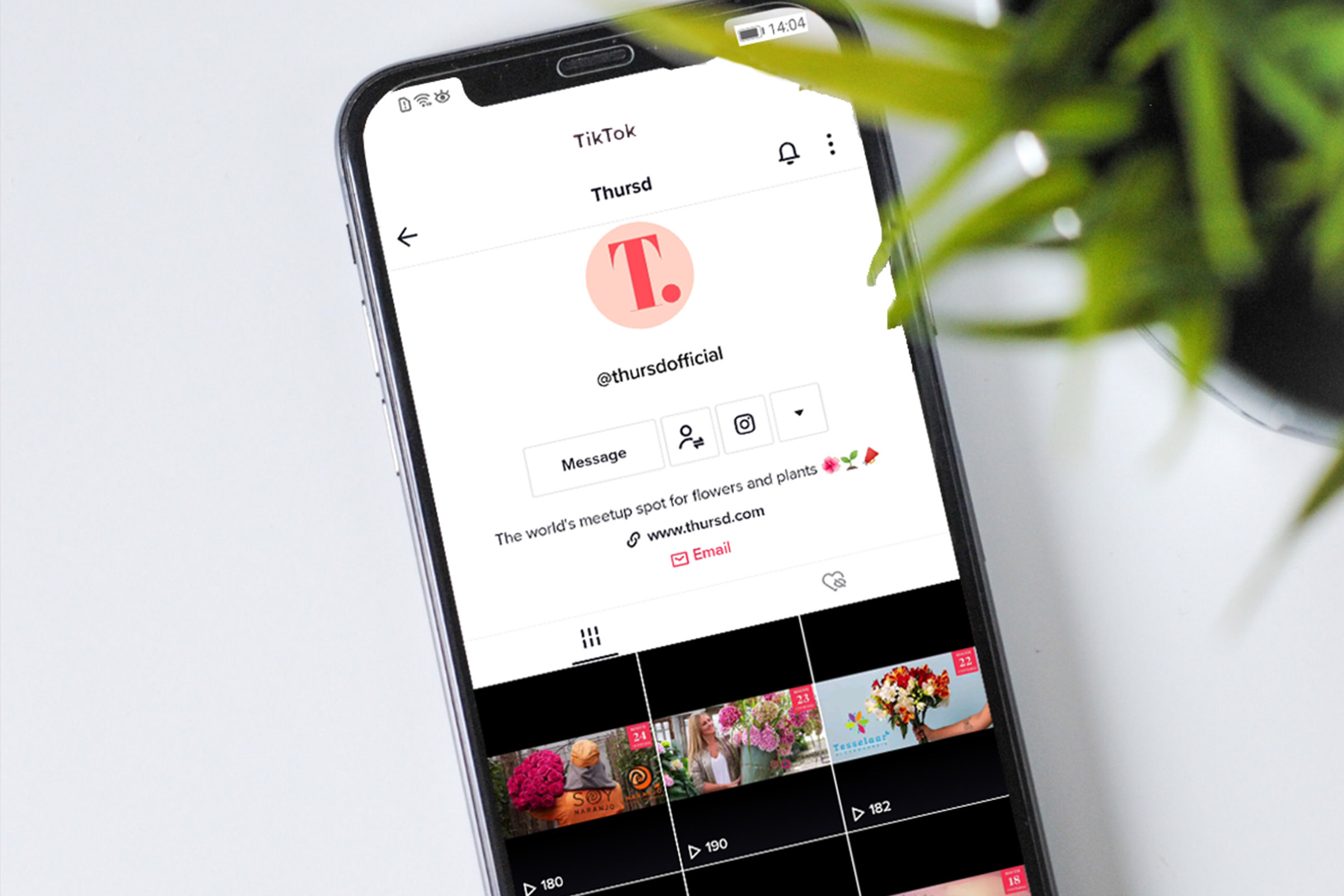 flowers-and-plants-on-tiktok-are-totally-a-thing-featured