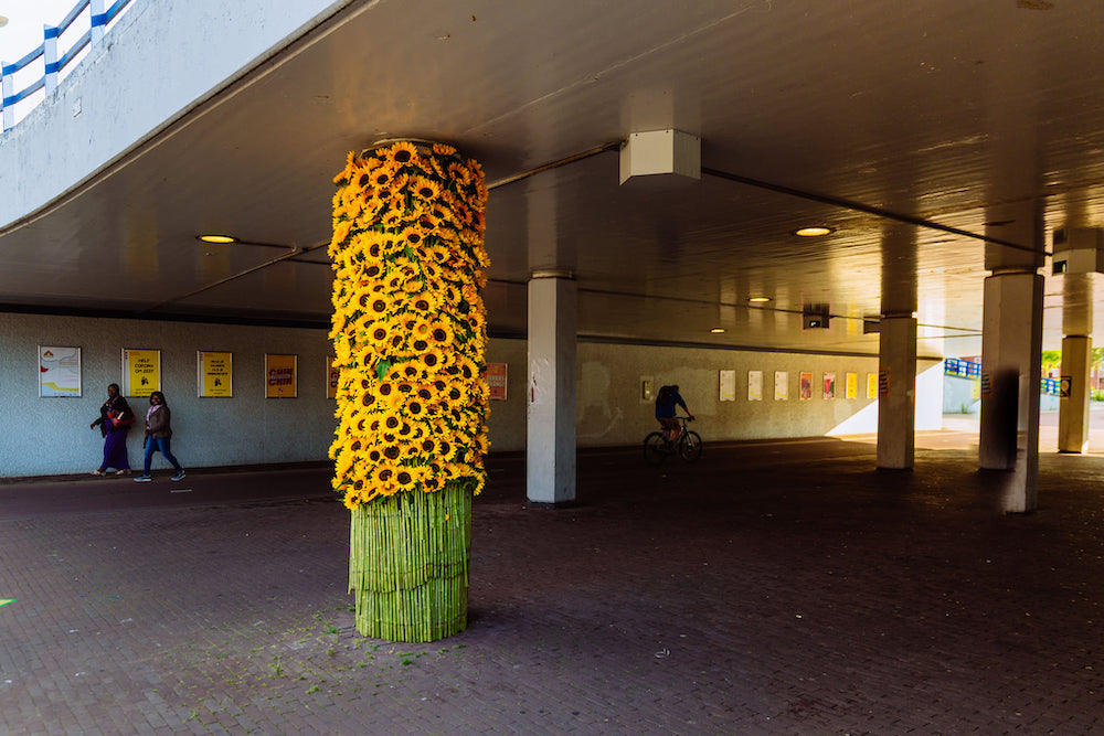 sunflower-flash-in-amsterdam-featured