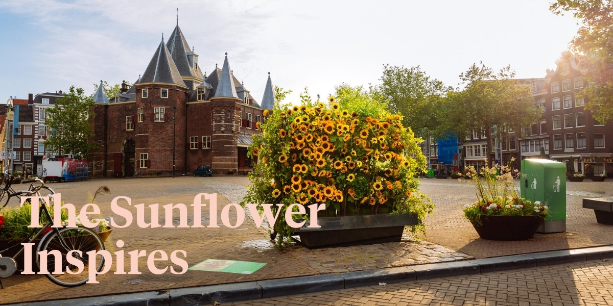 sunflower-flash-in-amsterdam-header