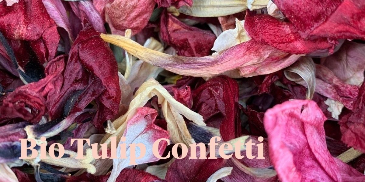brighten-up-your-festivities-with-organic-tulip-confetti-header