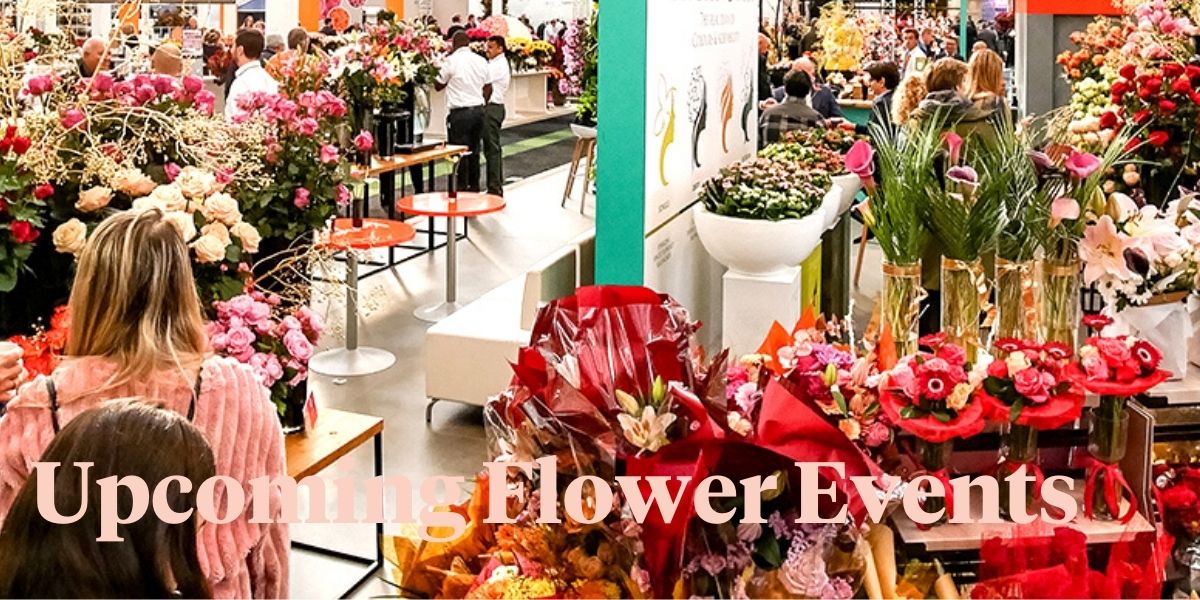 the-worlds-best-flower-fairs-festivals-you-definitely-want-to-visit-header