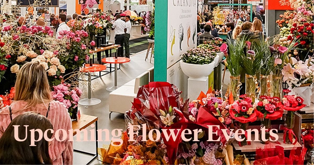 The World's Best Flower Fairs & Festivals You Definitely Want to Visit