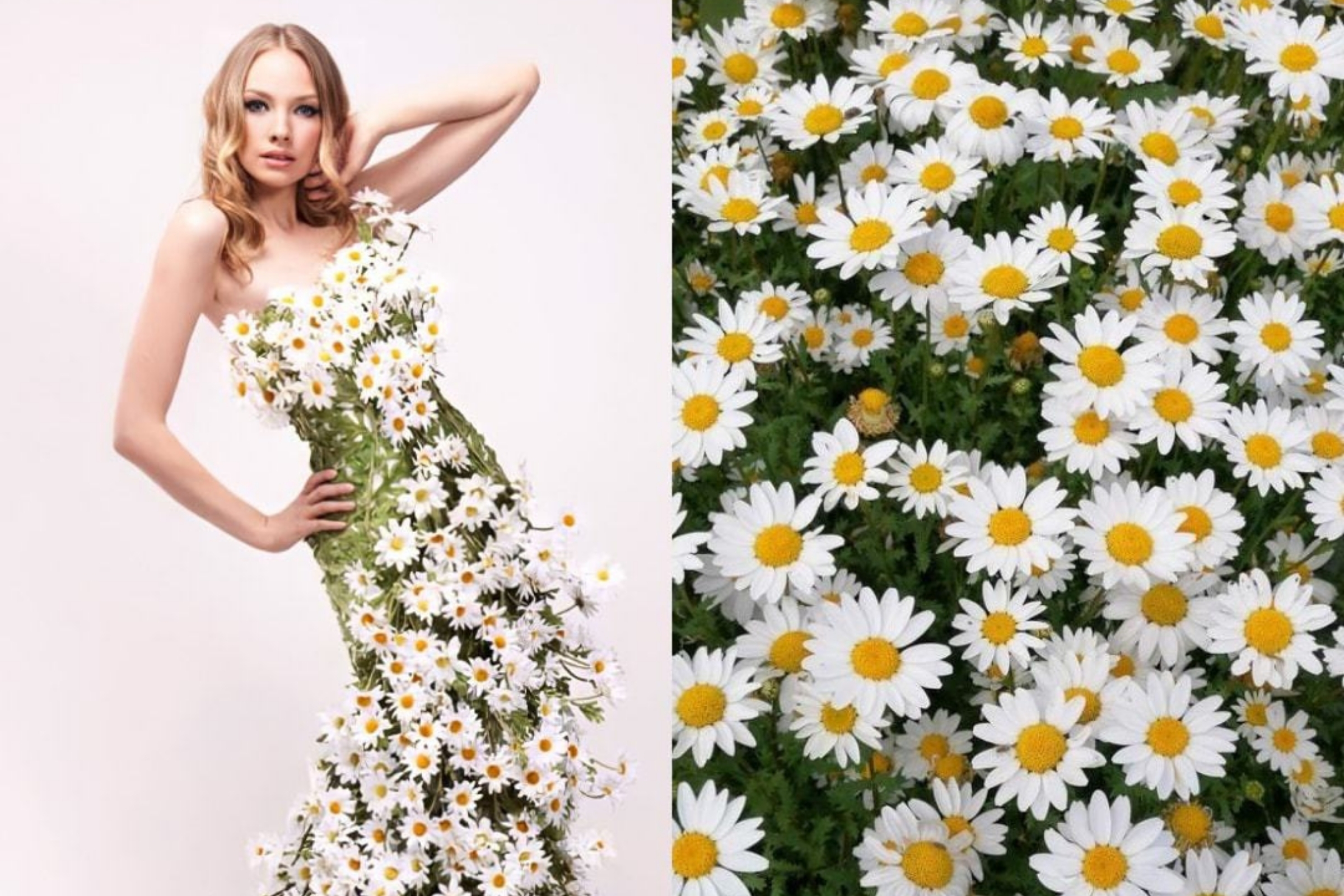 a-love-affair-between-fashion-and-flowers-featured