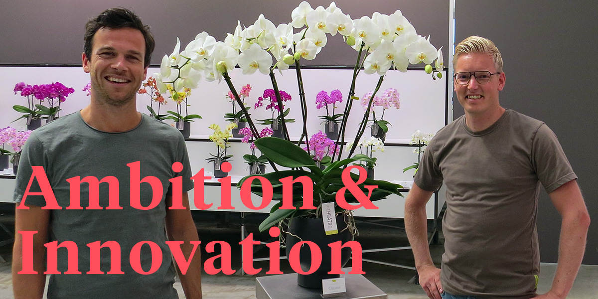 opti-flor-creates-a-total-experience-with-orchids-header