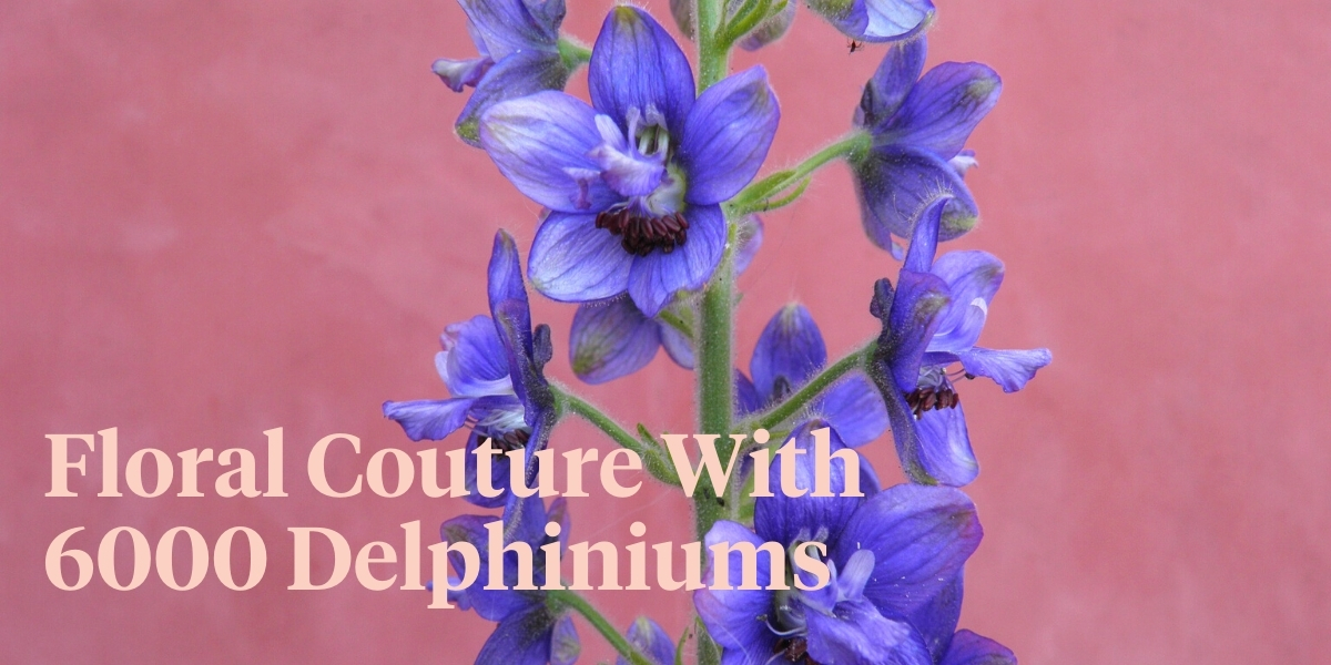 dancing-in-full-bloom-in-a-delphinium-dress-header