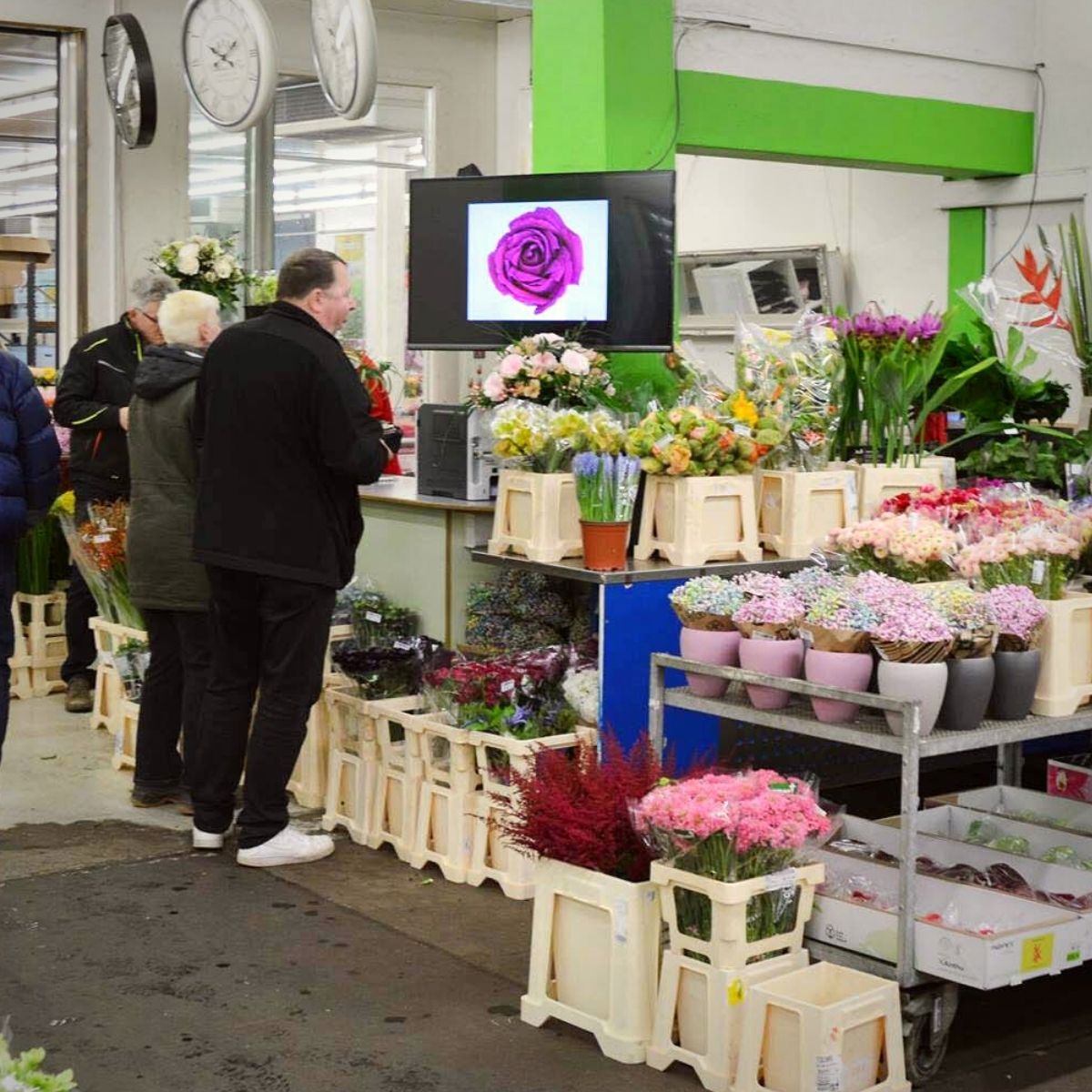 a-guide-to-penetrate-the-flower-and-plant-markets-in-germany-featured