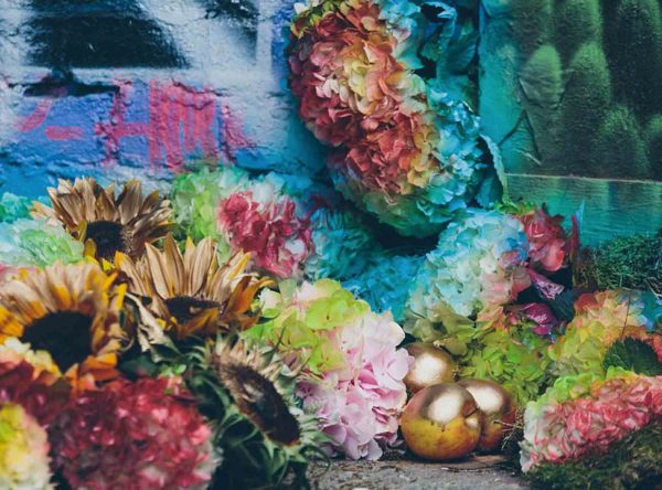 Early Hours article on Thursd hydrangea