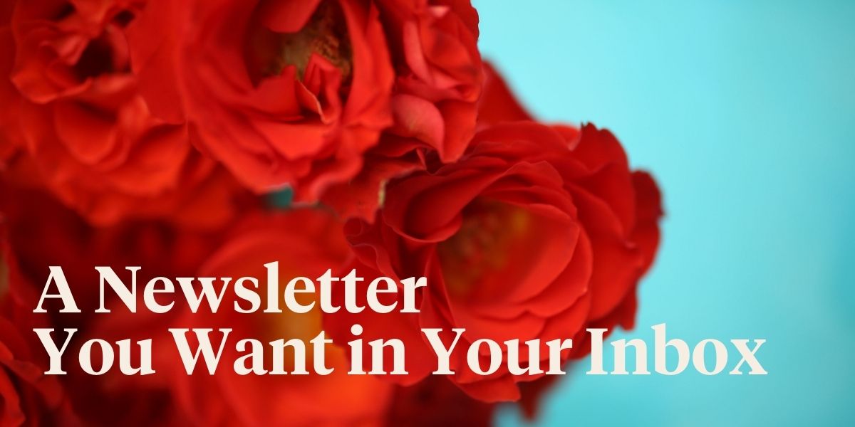 newsletters-in-floriculture-you-dont-want-to-miss-decofresh-header