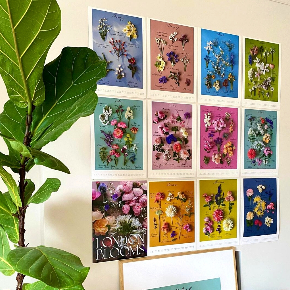 london-blooms-turns-her-garden-into-a-botanical-calendar-featured