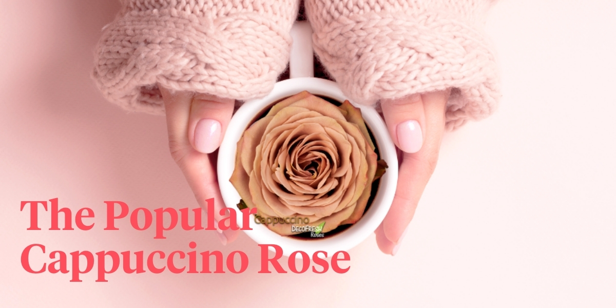 is-the-cappuccino-rose-this-seasons-florist-favorite-header
