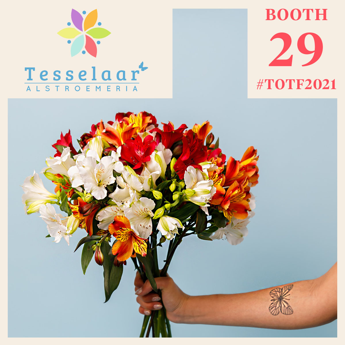 totf2021se-alstroemeria-is-the-flower-of-friendship-featured