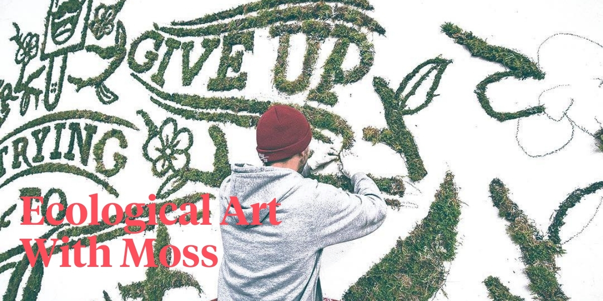 the-art-of-moss-graffiti-and-how-to-do-it-yourself-header
